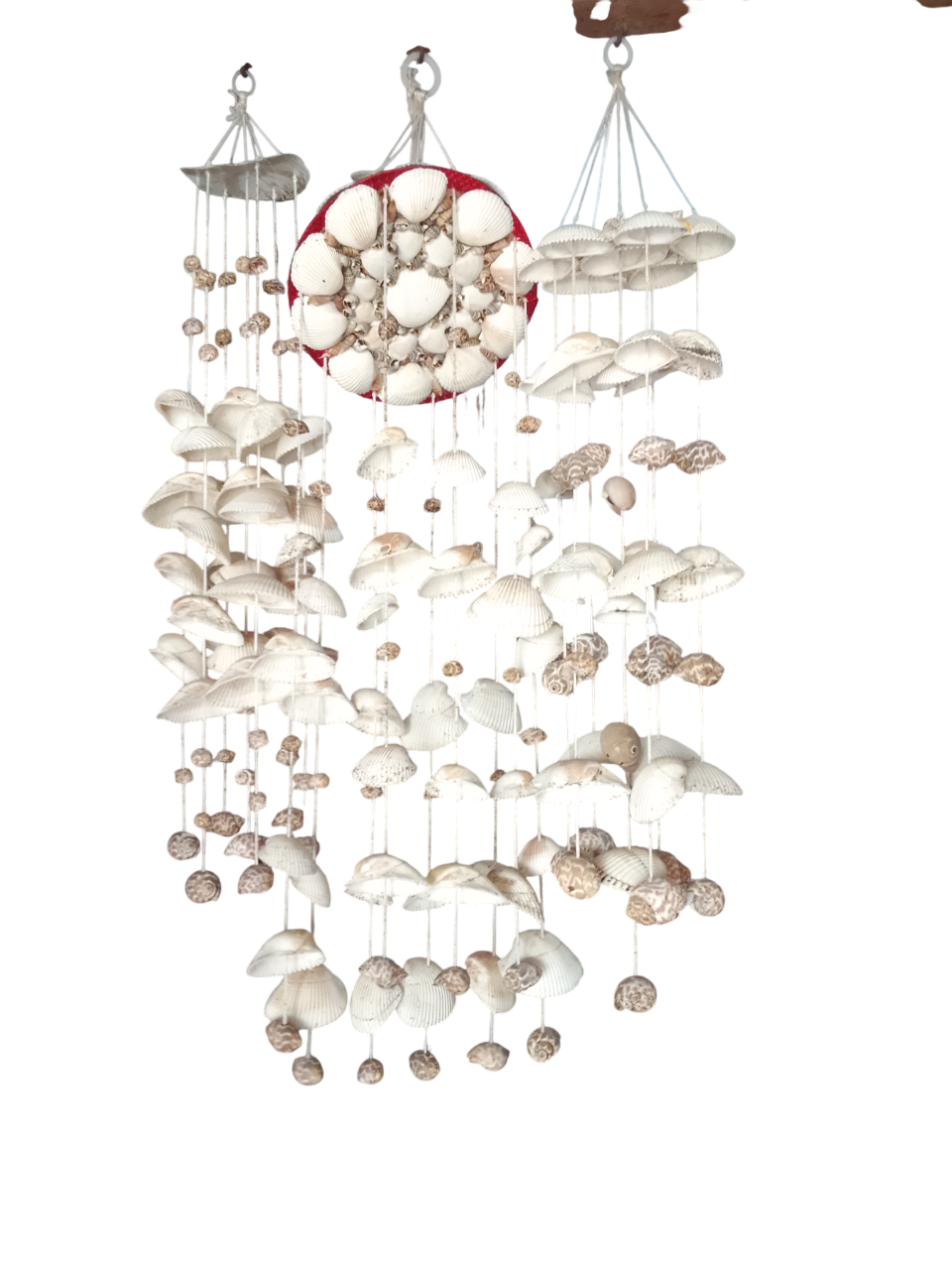 Sea Shell Chandelier Coconut Zimaya Stylish Beautiful Modern Design in Italy