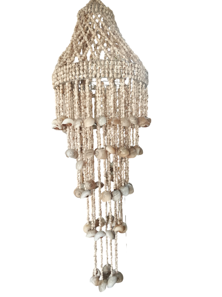 Sea Shell Chandelier Stylish Beautiful Modern Design in Italy