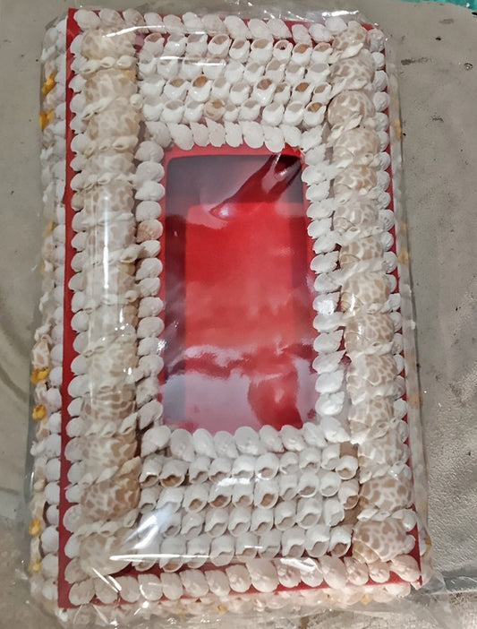 Sea Shell Tissue Box Stylish Beautiful On The Wall Table in Italy