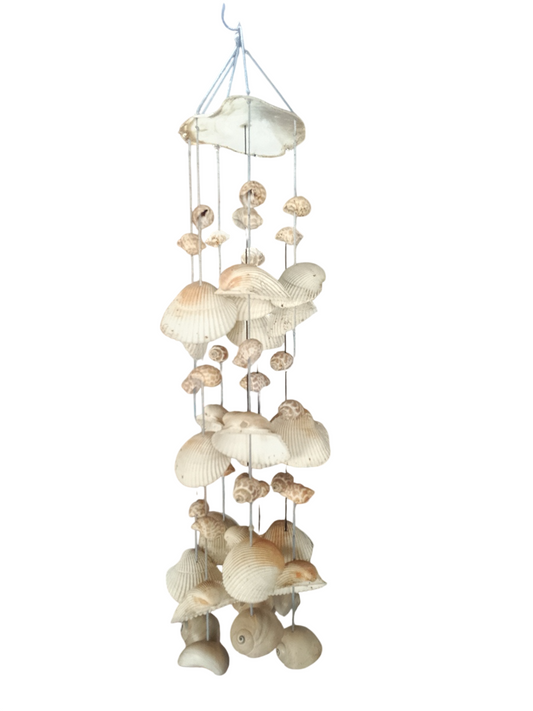 Sea Shell Chandelier Coconut Zaraya Stylish Beautiful Modern Design in Italy