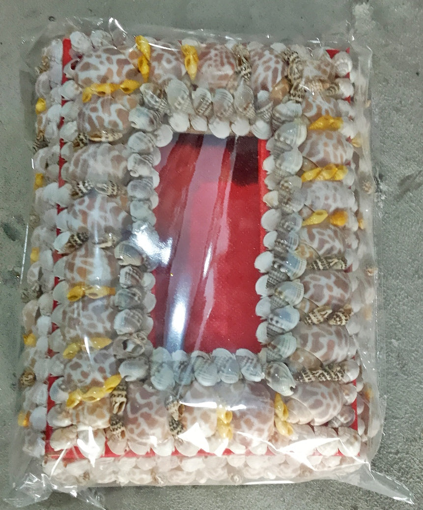 Sea Shell Tissue Box Sahil Stylish Beautiful On The Wall Table in Italy